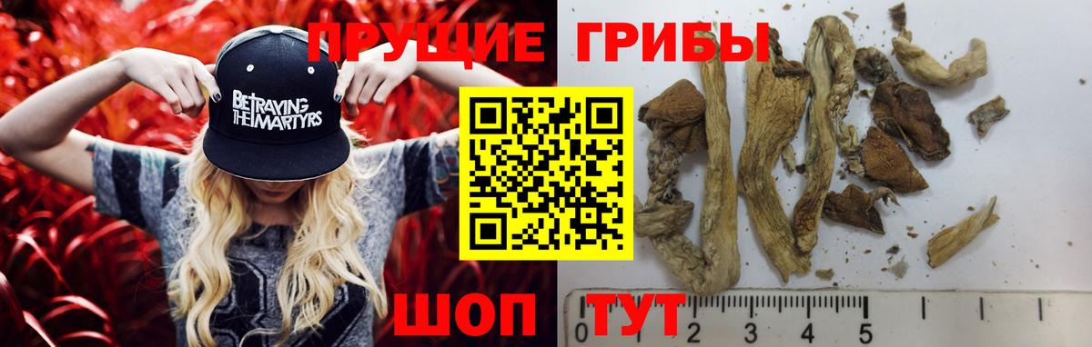 Галлюциногенные грибы мухоморы  Галлюциногенные грибы Cubensis  где купить наркоту  Лениногорск  Вход с VPN 